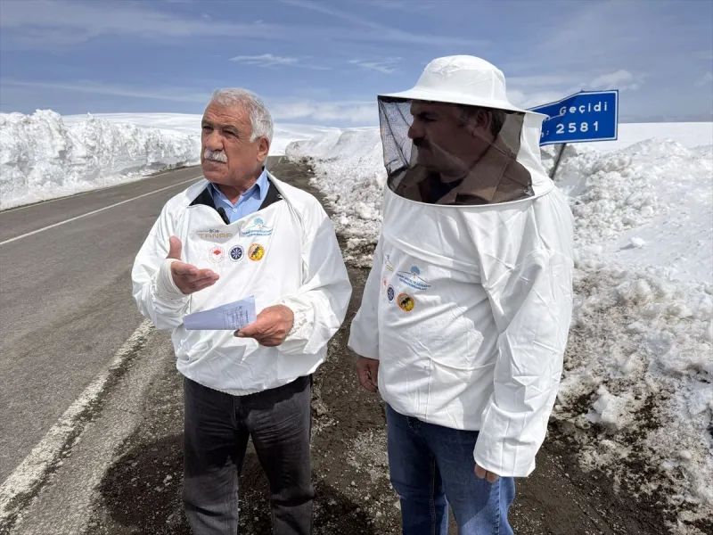 Ardahanlı Arıcılardan Stratejik Yol Talebi: 'Bülbülan Geçidi Kışın da Ulaşıma Açık Kalmalı'