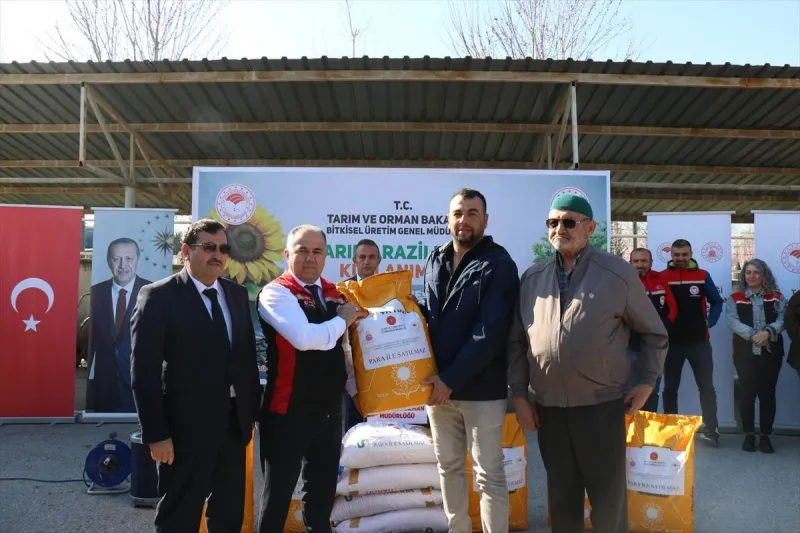 Çorum'un Leblebi Üretimini Desteklemek İçin Büyük Adım