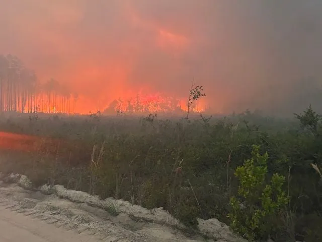 ABD'de orman yangınlarında 120'den fazla ev yandı