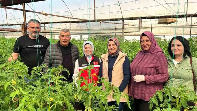 Aksu'da örtü altı tarımda yıllık yaklaşık 370 bin tonluk rekoltenin tamamı kadın çiftçilerin emeğiyle üretiliyor