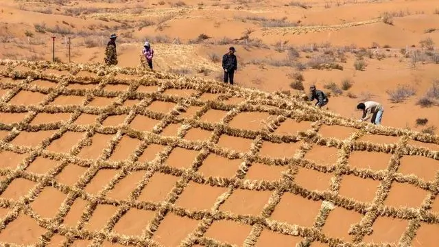 Albüm: Çin Çölleşmeyle Mücadele İçin Tengger Çölü