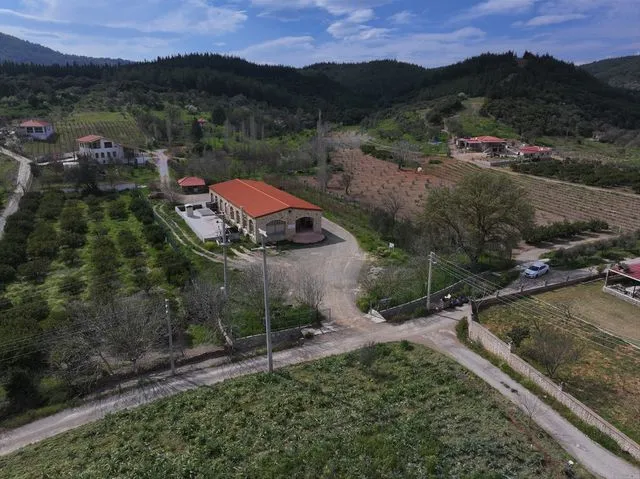 Anadolu'nun zeytinyağı mirası İzmir'deki "tadım kütüphanesinde" buluştu