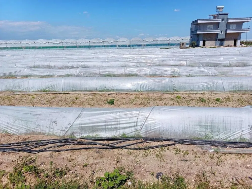 Bakanlıktan Tarsus Açıklaması