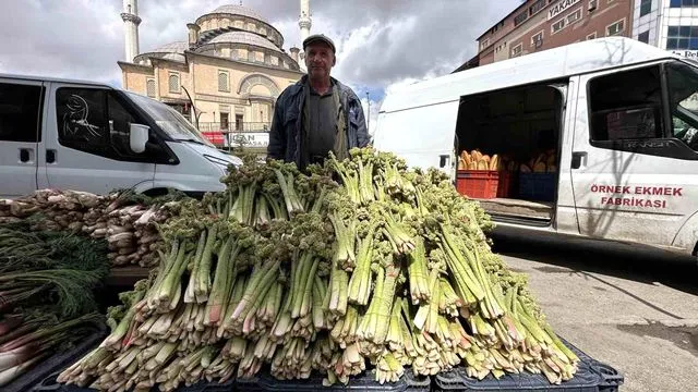 Doğal Şifa Kaynağı 'Yayla Muzu' Sezonu Başladı