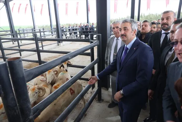 Edirne'de Havsa Canlı Hayvan Pazarı düzenlenen törenle açıldı