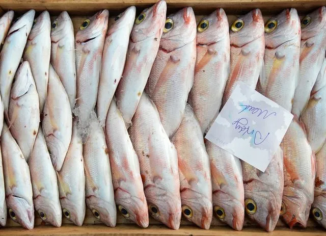 Egeli balıkçılar av sezonunu "mutlu" uğurluyor