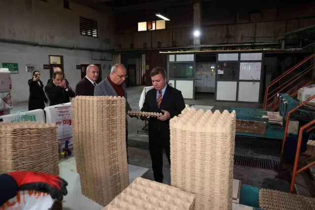 Erzincan'dan Türkiye'ye Yumurta Viyolu Üretimi