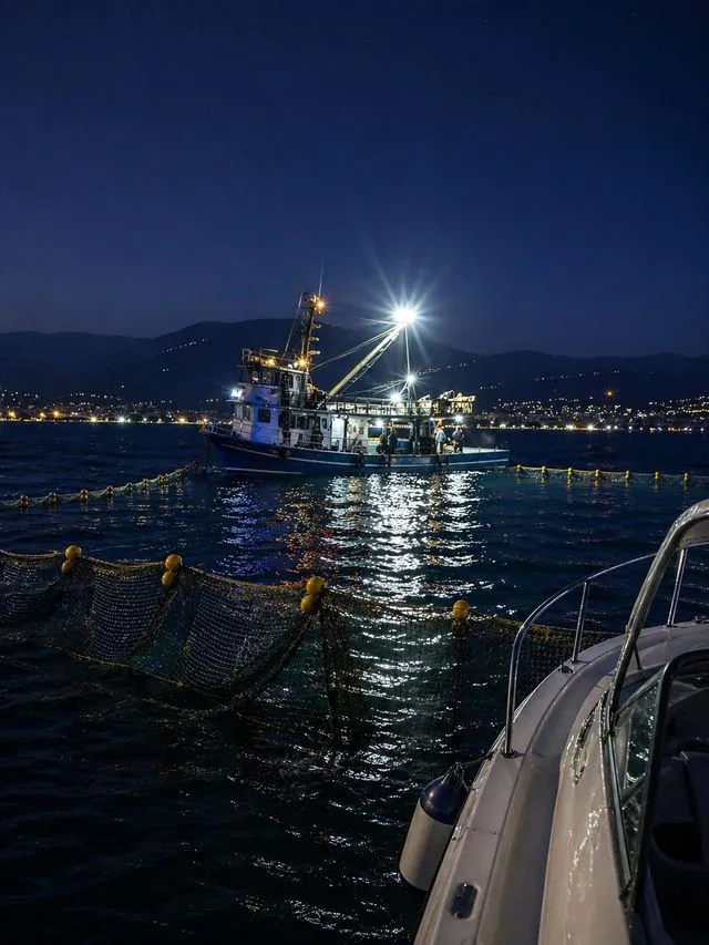 Gemlik Körfezi'nde Sardalya Mesaisi Başladı: Balıkçılar Denizlere Açıldı