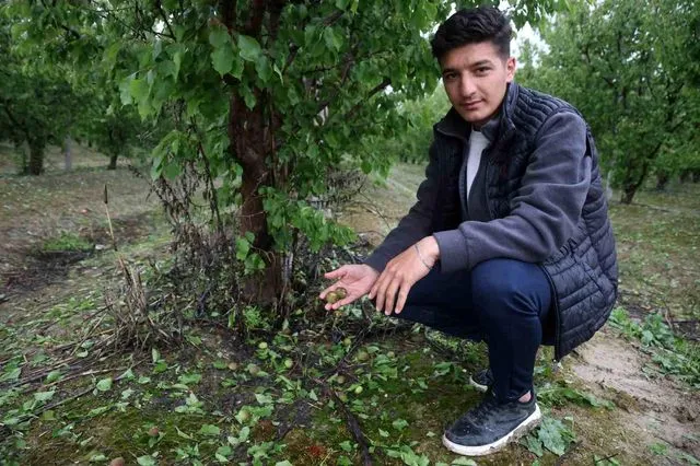 Hatay'da Tarım Arazilerine Etkisi Yaygin Olan Dolu Yağışı