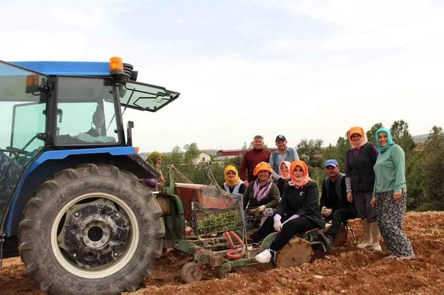 Kaymakam Kuran, Çal'da Üreticilerle Birlikte Kekik Dikimi Gerçekleştirdi
