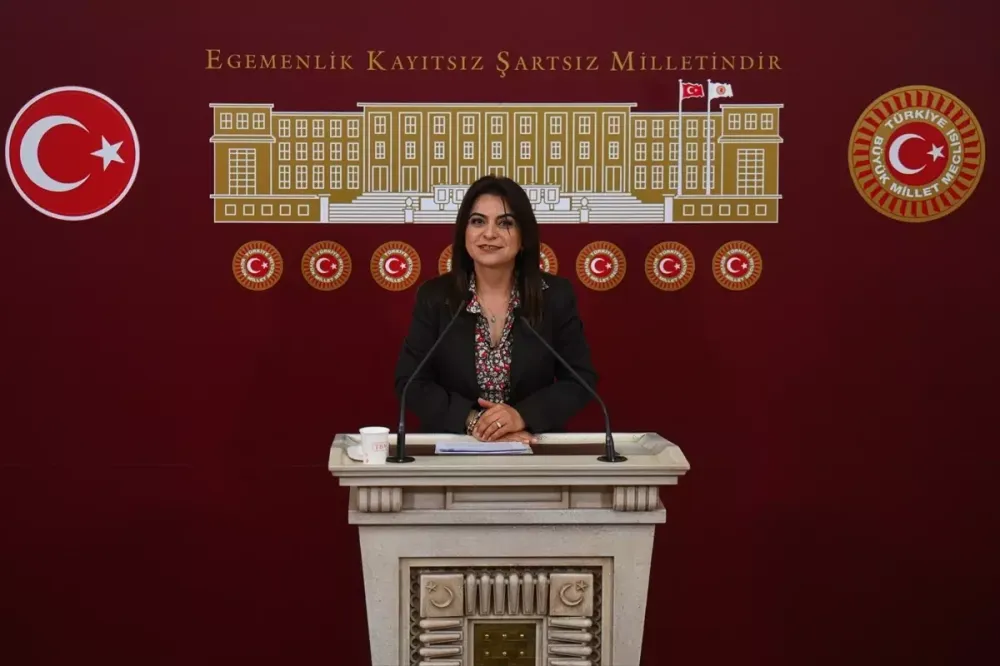 Koçyiğit'ten Yasal Düzenleme Çağrısı - Son Dakika