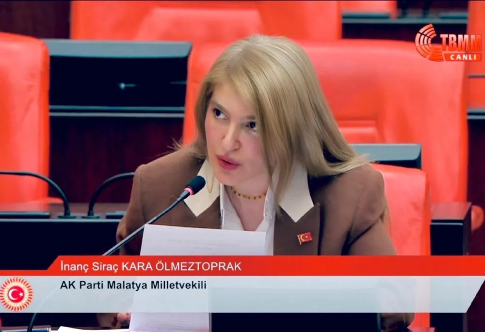 Malatya'nın dolu hasarı ve sanayi yatırımları TBMM gündeminde - Son Dakika