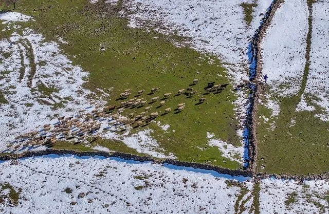 Mevsimsel yağışlar Karacadağ