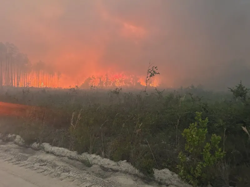 ABD'de orman yangınlarında 120'den fazla ev yandı