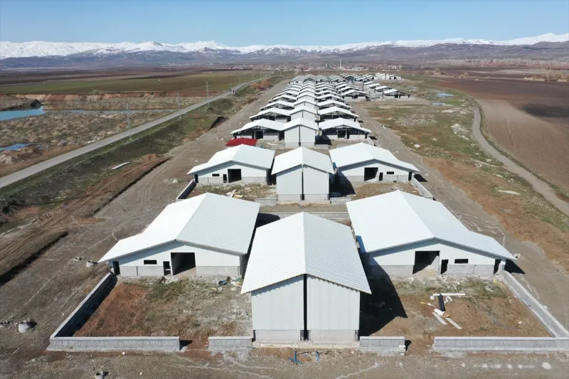 Ağrı'da 307 ahırdan oluşan hayvancılık merkezi inşasında sona yaklaşıldı