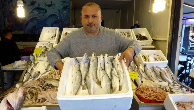 Akdeniz'de av yasağı başlıyor