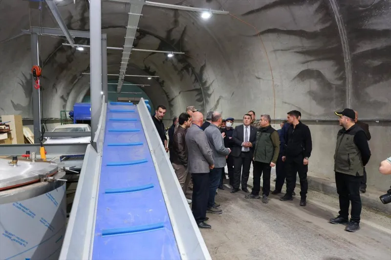 Artvin Valiliğinde Mantar Üretim Tesisleri Ziyaret Edildi