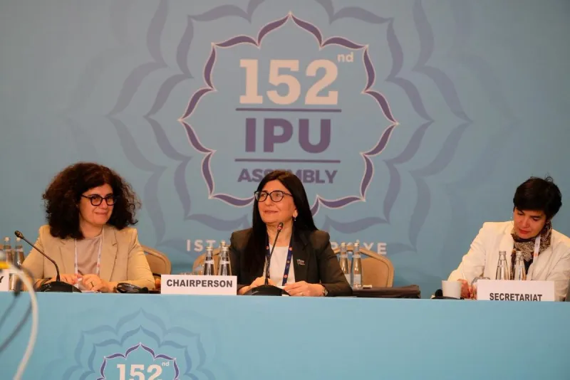 Azerbaycan Milletvekili Sevil Mikayilova, PAB Toplumsal Cinsiyet Ortaklığı Grubu Başkanlığı