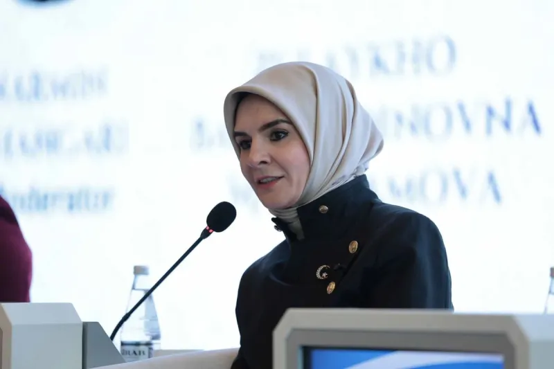 Bakan Göktaş, Bakü