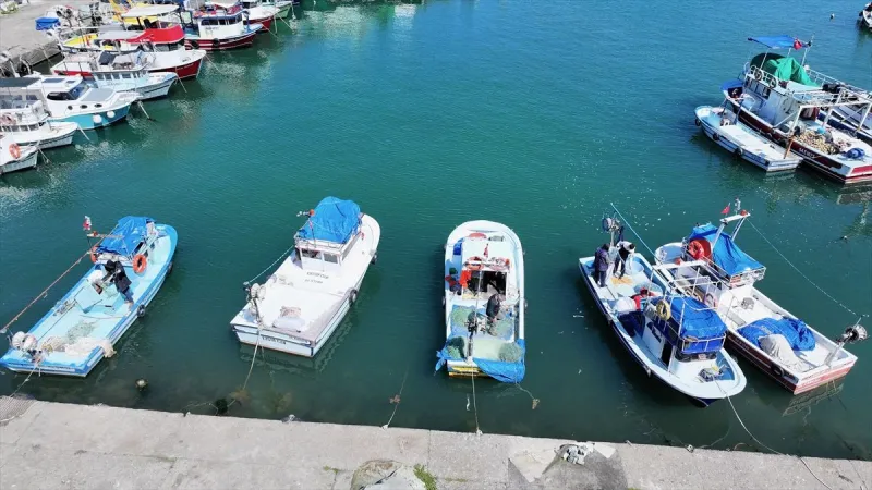 Batı Karadeniz ve Doğu Marmara