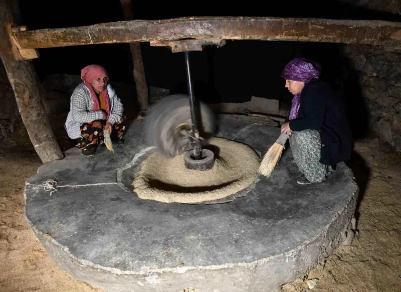 Bitlis'in Hizan İlçesinde Geleneksel Çeltik Hasadı: Asırlık Su Değirmeni Kursunç Pirincine Hayat Veriyor