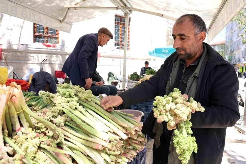 Bölge Halkının Şifa Kaynağı: Doğu Anadolu’nun 'Dağ Muzu' Işkın Pazar Tezgahlarını Süslüyor