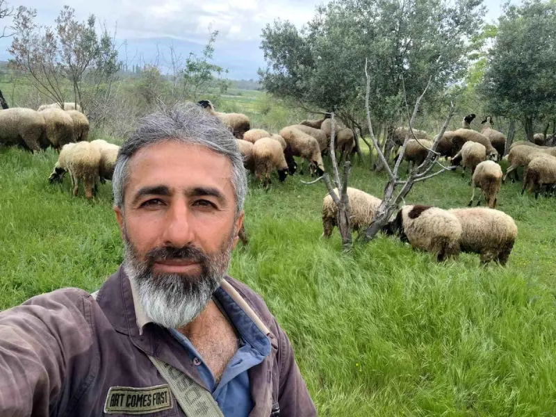 Denizli'de Yerli ve Yabancı Irkın Gücü Birleşti: Et Veriminde Rekor Artış