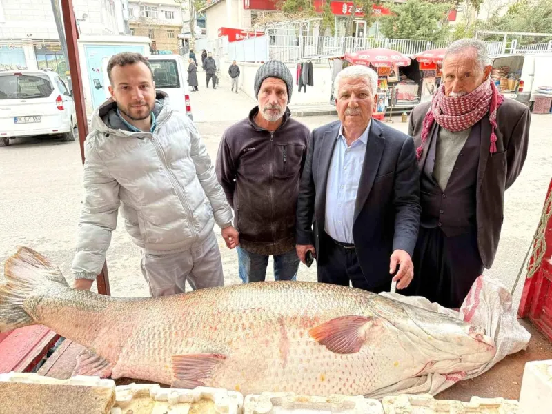 Diyarbakır