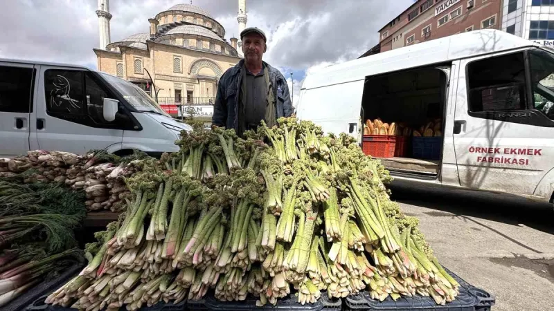 Doğal Şifa Kaynağı 'Yayla Muzu' Sezonu Başladı