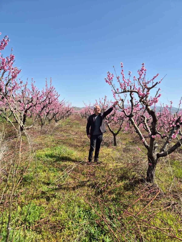 Elazığ'da Meyve Üreticileri İçin Entegre Mücadele Çalışmaları