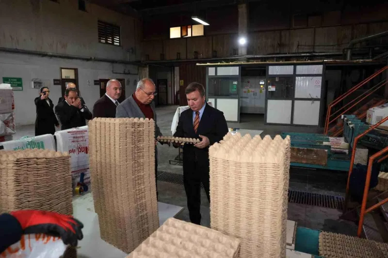 Erzincan'dan Türkiye'ye Yumurta Viyolu Üretimi