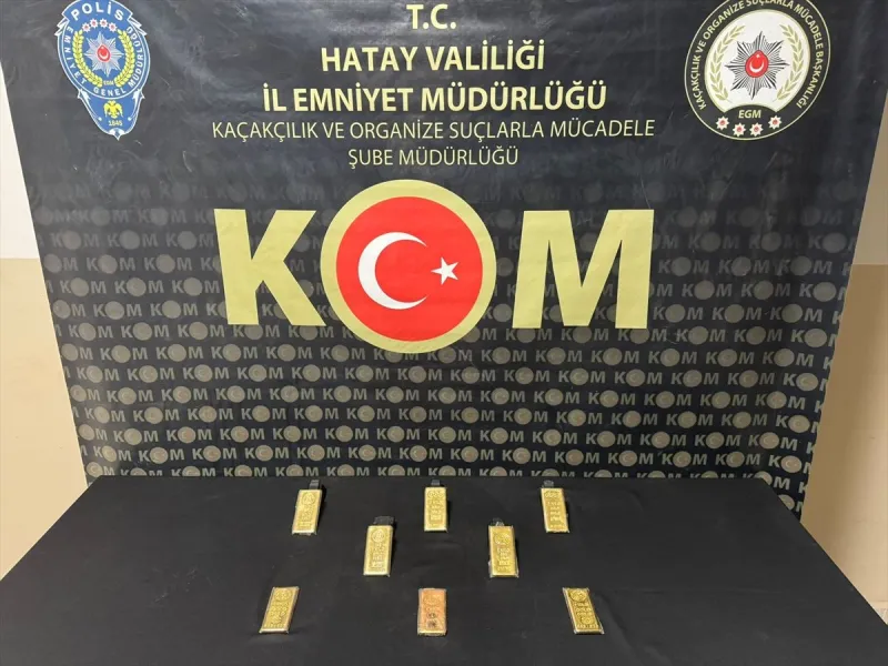 Hatay'da sırt çantasında 8 kilogram gümrük kaçağı altın ele geçirilen zanlı tutuklandı