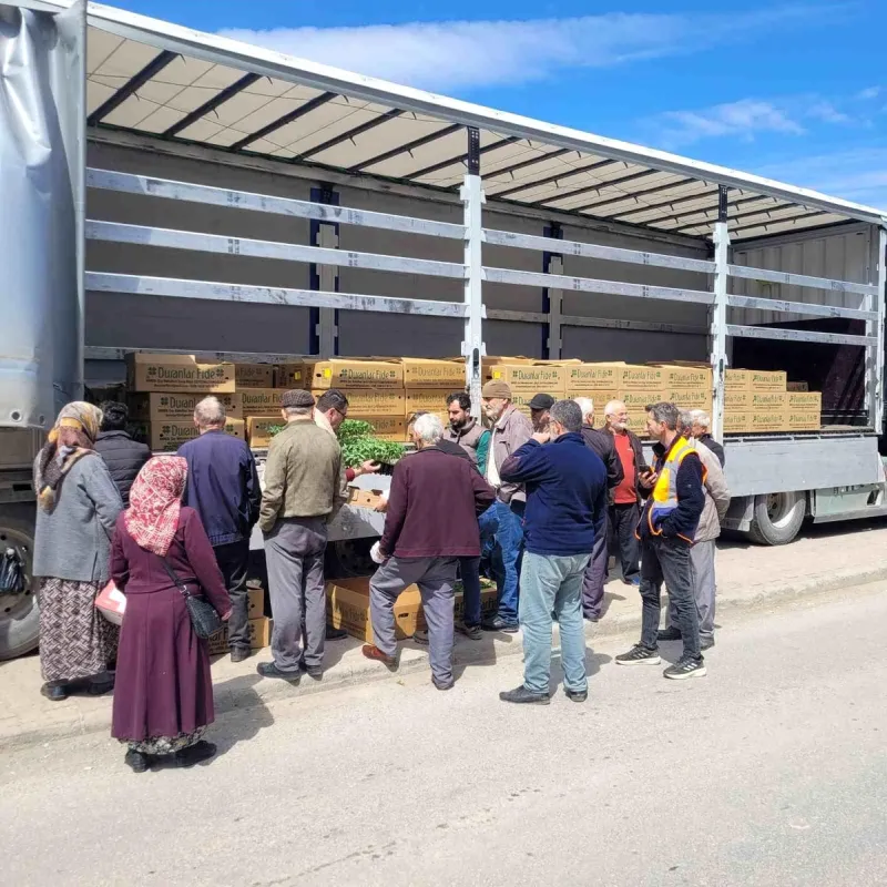 Kastamonu'da çiftçilere 147 bin adet sebze fidesi dağıtıldı