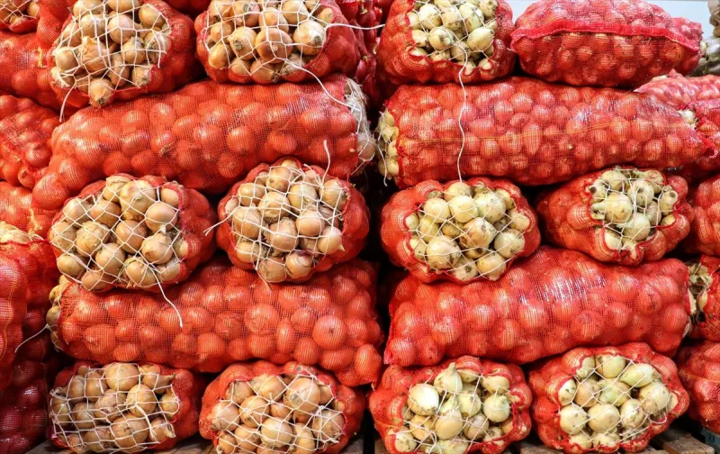 Kuru soğan ihracatı ilk çeyrekte yaklaşık 15 kat arttı