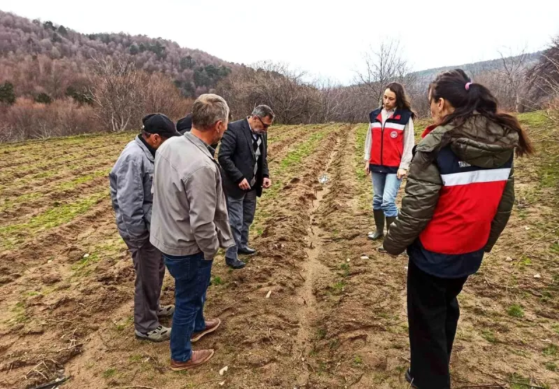 Kütahya'da Ahududu Üretimine Büyük Destek: Yüzde 75 Hibeli Bahçeler Denetimden Geçti
