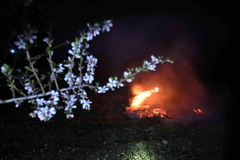 Manisa'da Badem Üreticileri Don Tehlikesine Karşı Nöbet Tutmaya Başladı