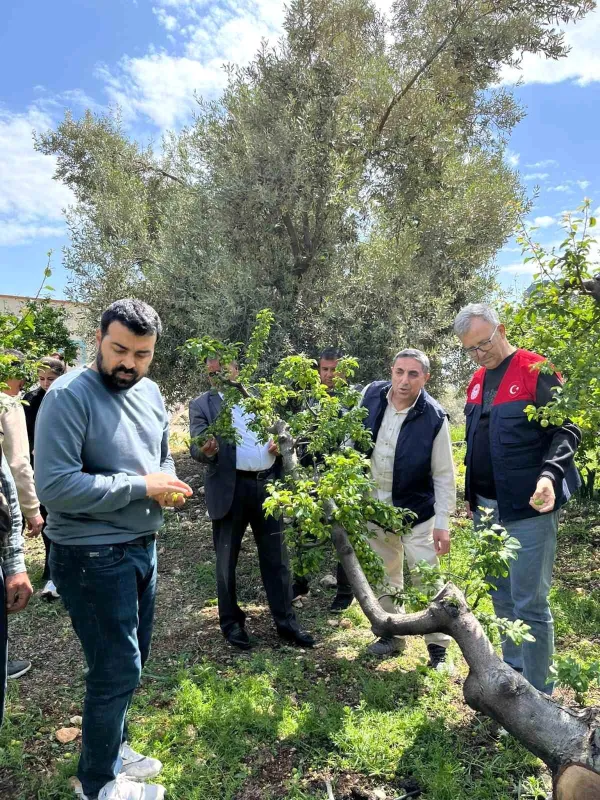 Mersin'de Yağmur ve Dolu Afeti: Hasar Tespit Çalışmaları Hızla Devam Ediyor