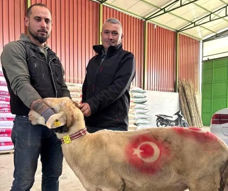 Sarıgöl'de kurbanlık pazarı hareketlendi