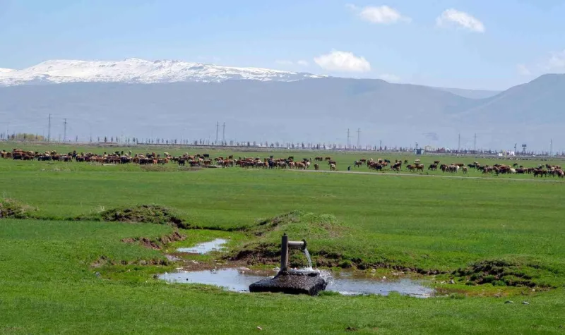 Tarımda önder üretici modeli vurgusu