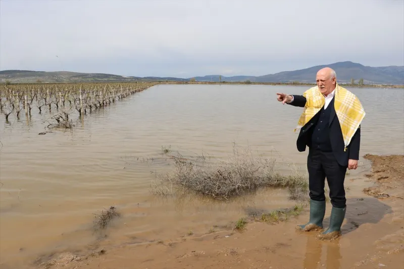 TZOB Genel Başkanı Bayraktar, İzmir