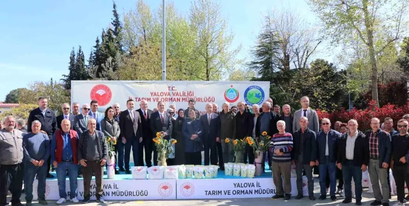 Yalova'da çiftçiye ayçiçeği ve fasulye tohumu desteği