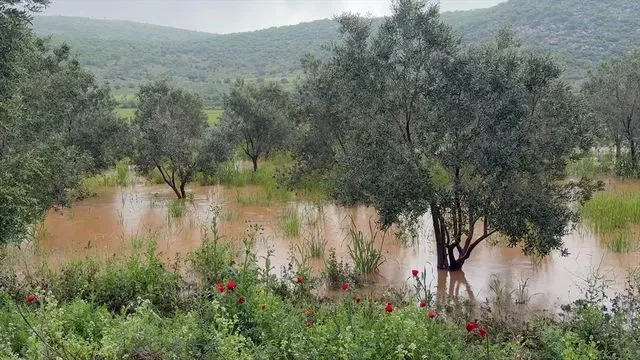 Osmaniye'de sağanak tarım arazilerine zarar verdi