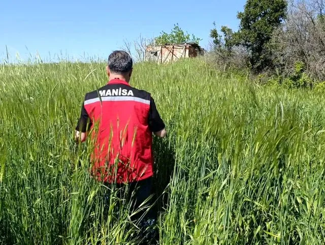 Sarıgöl'de huhubatta verim için ekipler sahada