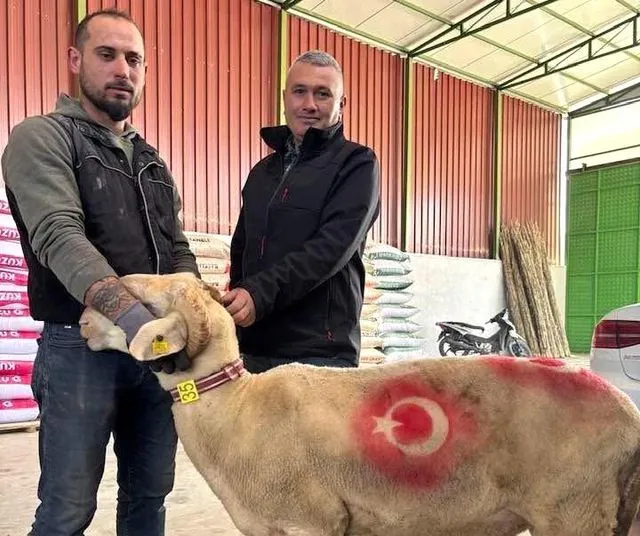 Sarıgöl'de kurbanlık pazarı hareketlendi