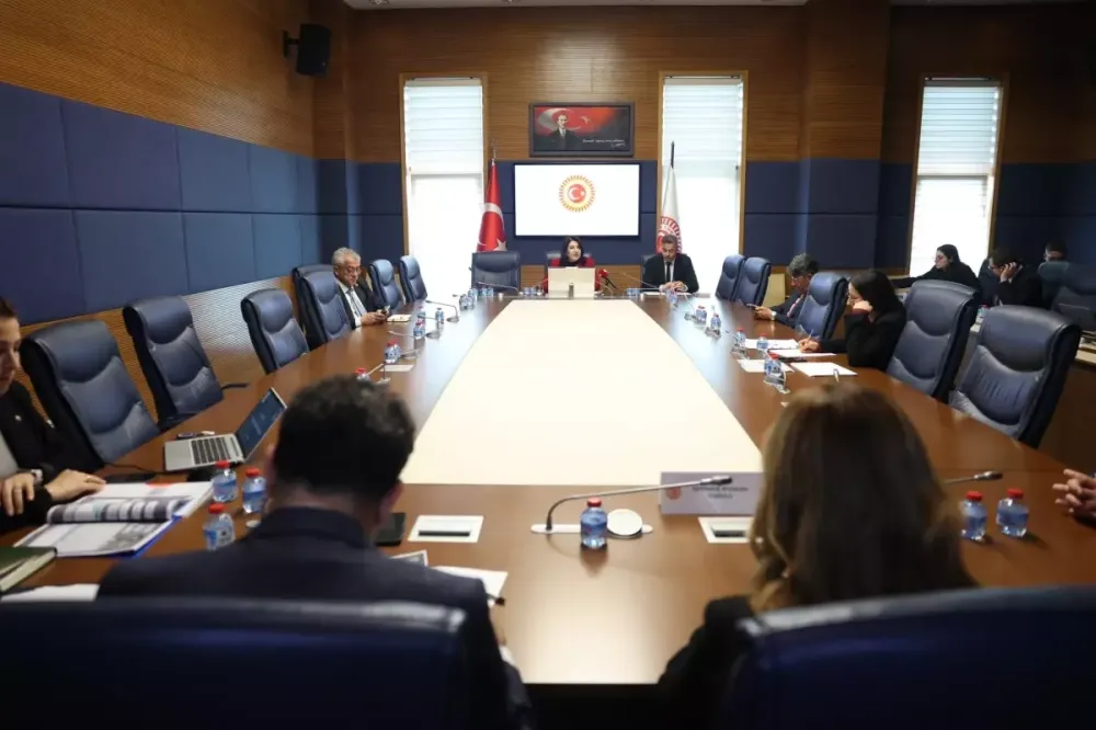 TBMM Finansal Okuryazarlığın Yaygınlaştırılması Alt Komisyonu toplandı