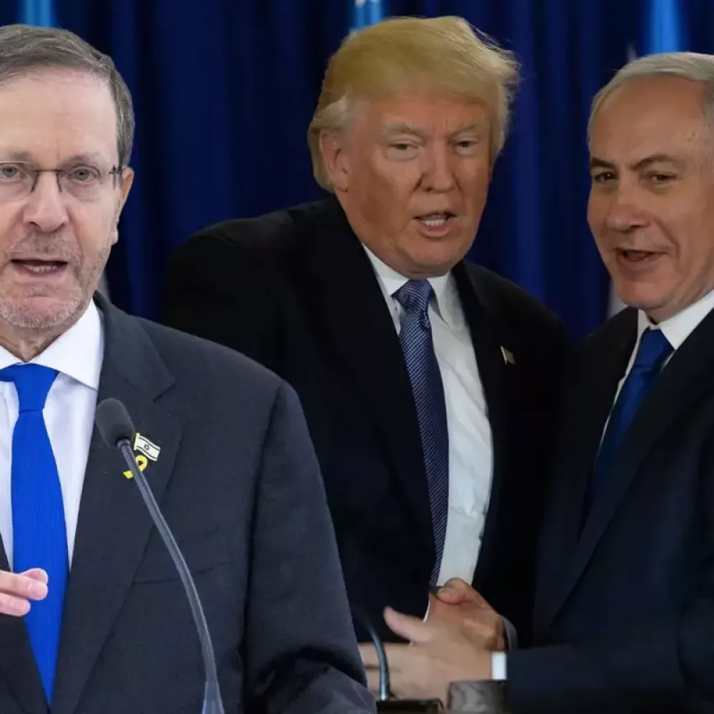 Trump'tan Herzog'a Sert Elestiri