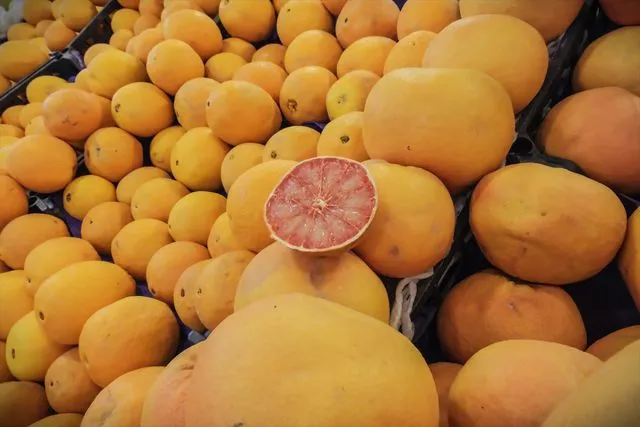 Turunçgil İhracatı Yılın İlk Çeyreğinde Rekor Seviyeye Ulaştı