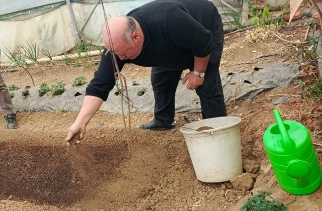 Yenilikçi Tütün Çiftliği: Pazaryeri'nde Yeni Gelir Kaynakları Oluşuyor