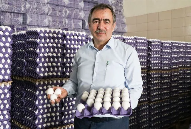 Yumurta Sektörüne İhracat Can Suyu: 'Mayıs Çukuru' Krizi Kota Artışıyla Aşılıyor